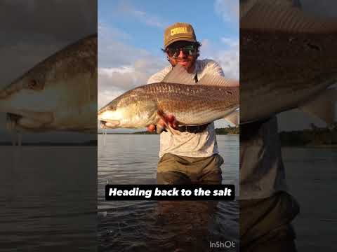 A ton of content coming soon #flyfishing #fishing #choona @choonaclothing