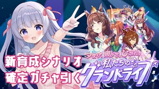 【ウマ娘】新育成シナリオ＆確定ガチャ引く【Vtuber】
