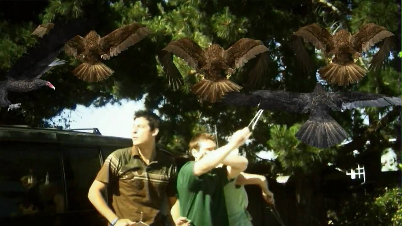 Birdemic: Shock and Terror Trailer thumbnail