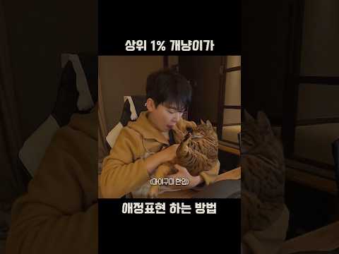 시크한 고양이를 원했던 집사에게 왜 이런..