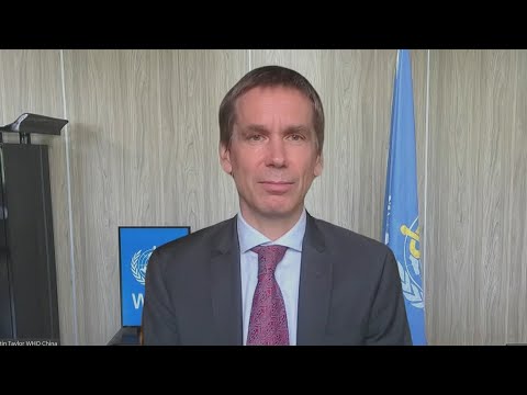 WHO official discusses the global transmission risk of mpox