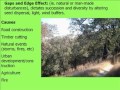 Forest Succession and Seed Germination