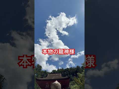 マジで金運爆上げします!これが本物の龍神様です🐲 #パワースポット一人旅 #運気アップ #龍神 #金運