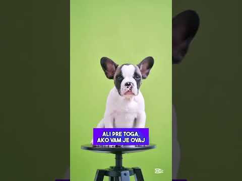 Učiteljica je Tražila Vaške Kod Učenika i Desilo se OVO! 😱