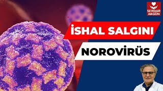 Dikkat, İshal Salgını, Norovirus, Aktüel Sağlık, Prof.Dr.Serdar Akgün