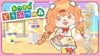 【 あつまれ どうぶつの森 】 日曜日の朝！カブの時間だ！！ 【 雲母たまこ ┊ にじさんじ 】