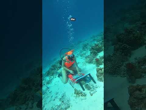 صورة مصغرة لفيديو Reel of the Week | Creating Underwater Art