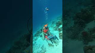 Reel of the Week | Creating Underwater Art