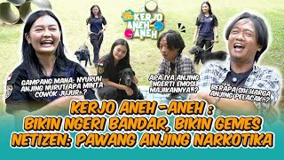 KERJO ANEH-ANEH : PAWANG ANJING CANTIK, SANG PENJAGA BORDER
