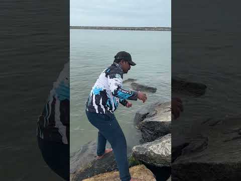 Oh wow..! Will it escape..? 😳 | When a fish strikes on Kunjapputti Kaakkan’s hook