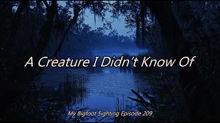 A Creature I Didn’t Know Of - My Bigfoot Sighting Episode 209