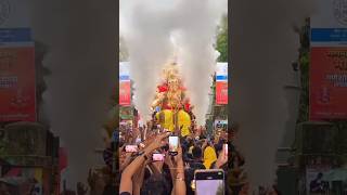 उमरखडीचा राजा ❤️🚩🙏 #ganeshchaturthi #mumbaicheganpati #ganpati #mumbai #lalbaug