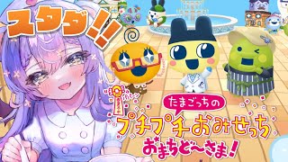【たまごっちのプチプチおみせっち】たまごっちガチ勢によるスタダ【おまちど～さま！】