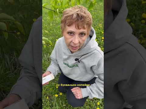 ТЛЯ не пройдет с Помощью МАЗИ #дача #тля #муравьи #огород