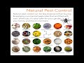 Pest Control Methods and Safety