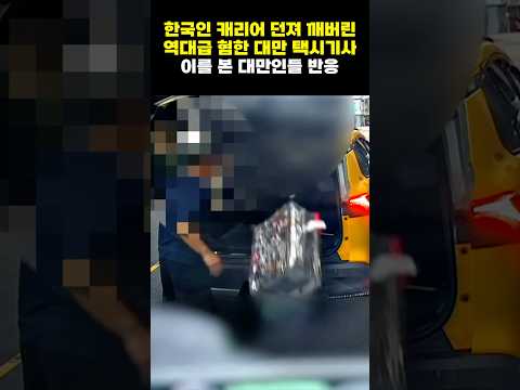 ⚠️ 한국인 캐리어 박살 낸 혐한 택시기사 본 대만 반응 🇹🇼