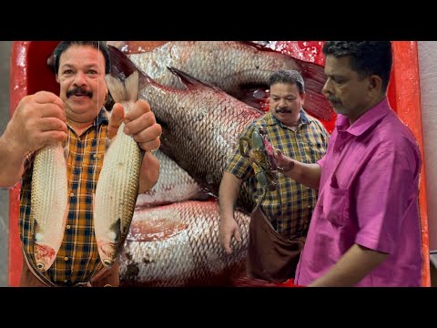 പാഞ്ചി പാപ്പൻ and ചാക്കോ ചേട്ടൻ, ചാക്കോ ചേട്ടന്റെ കയ്യിൽ പൂമീൻ പാഞ്ചി പപ്പന്റെ കയ്യിൽ കാളാഞ്ചി 😱🔥