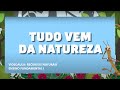 Recursos Naturais e Seus Usos