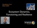Ecosystem Dynamics and Biodiversity
