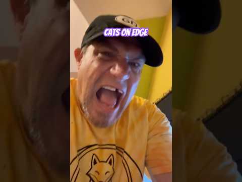 Kitten Intro Gone WRONG🙀