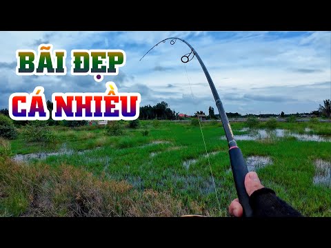 Gặp phải đám cỏ đẹp như tranh rất nhiều cá | THÚ VUI MIỀN TÂY. 49