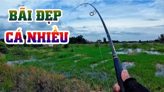 Gặp phải đám cỏ đẹp như tranh rất nhiều cá | THÚ VUI MIỀN TÂY. 49