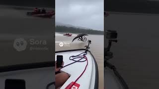 Alligator Biking over the River  #funny #soralife #ai #animal