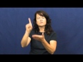 Understanding the Video Tutorial