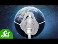 Mass Extinction Events and Fossil Discoveries