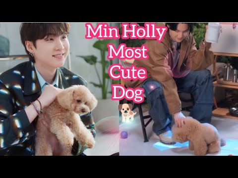 Min Holly Most Cute Dog 💓🐕🐕