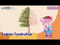 Kuis Mengenal Bagian Tumbuhan
