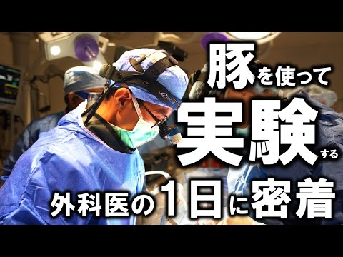心臓病の新しい治療法を開発する外科医の1日に密着してみた