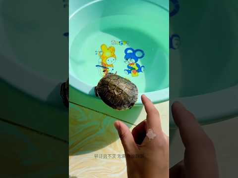 I Thought It Was Candy… But It Was Alive! 😱 | #ytshorts #shorts #shortsfeed