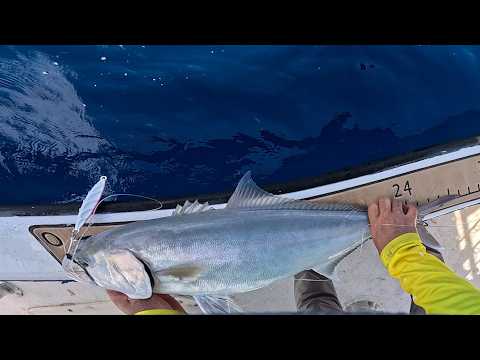 Jigging with fred...and a piece of crap depth finder. video thumbnail