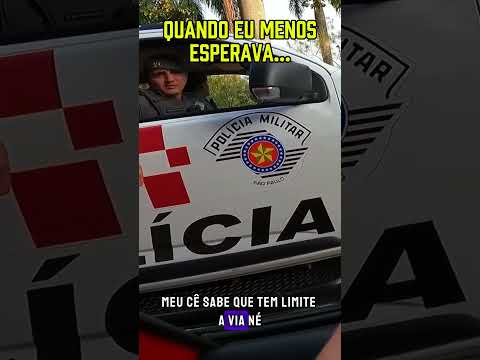 Apareceu do nada kkkkk #civil #policiacivil