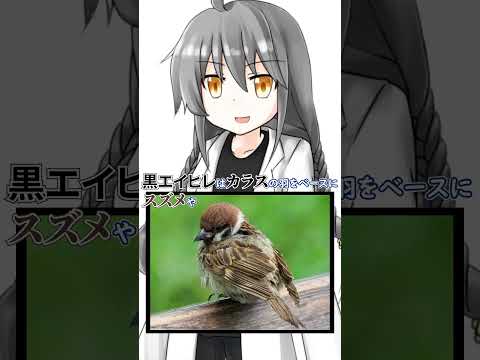 thumbnail_jFsLN8Toqiw
