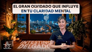 Shiatsu para el meridiano de INTESTINO DELGADO. El gran olvidado para tu CLARIDAD MENTAL.
