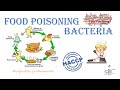 Food Safety and Bacterial Contamination