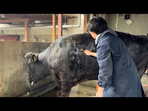 生まれてから4年付き合った多香味号を出荷しました