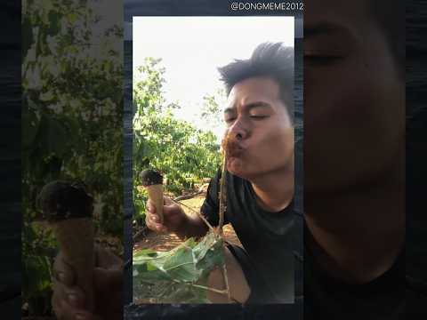 Ko Ngờ Gặp Phải Thằng Liều #memes #đôngmeme