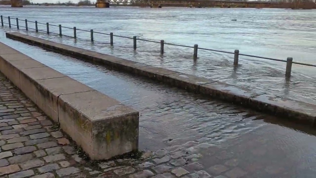 Flooding on the Elbe in Schönebeck