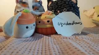 Ika Squishmallows 