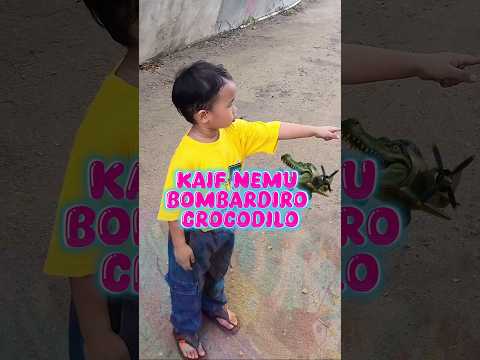 Tiba" ada shark #shortvideo #shorts #ytshorts #funny