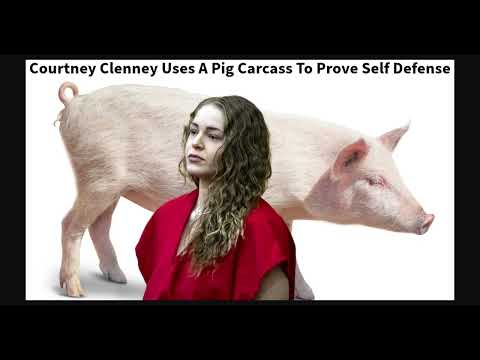 Courtney Clenney Demonstrates Self-Defense Claim Using Pig in Court