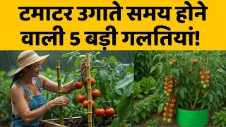 टमाटर🍅 उगाते समय  होने वाली 5 बड़ी गलतियां 🚫 | Top 5 Tomato Growing Mistakes in Hindi