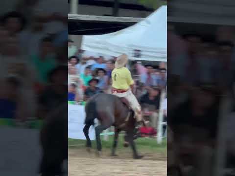 Basto argentino Giovane Tâmara x bordel Trop sinuelo etapa herval 2023