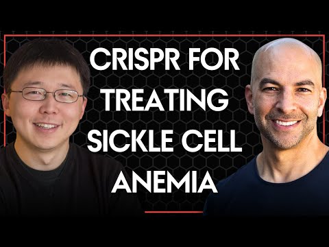 How CRISPR is used to treat sickle cell anemia | Peter Attia and Feng Zhang