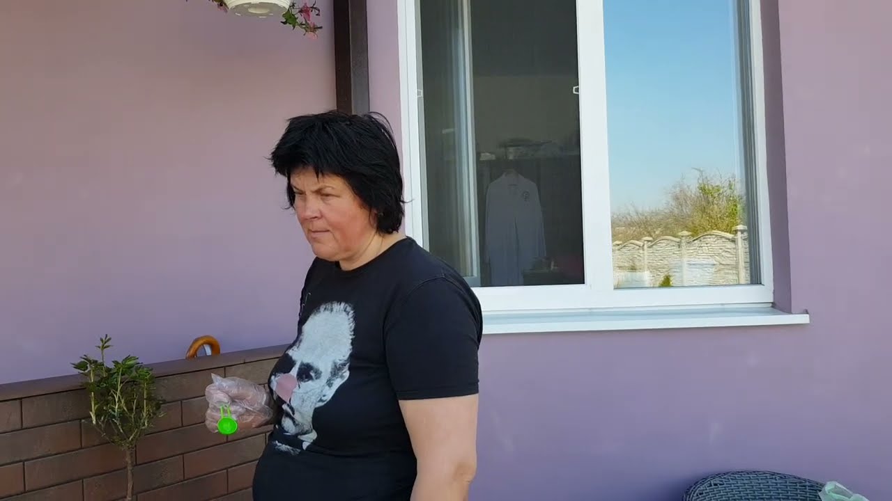 Купили продукты на Пасху и посадили розу