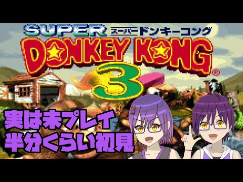 【スーパードンキーコング3】なんだかんだあって実は未プレイのやつやる #2