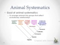 Zoology Concepts and Symmetry
